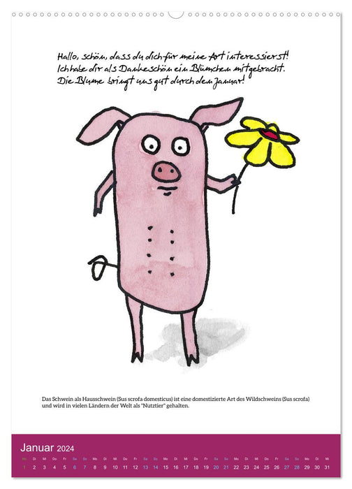 Schweinekalender - Alles was du über Schweine wissen wolltest! (CALVENDO Premium Wandkalender 2024)