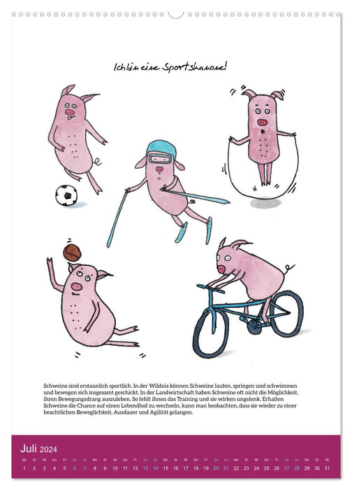Schweinekalender - Alles was du über Schweine wissen wolltest! (CALVENDO Premium Wandkalender 2024)