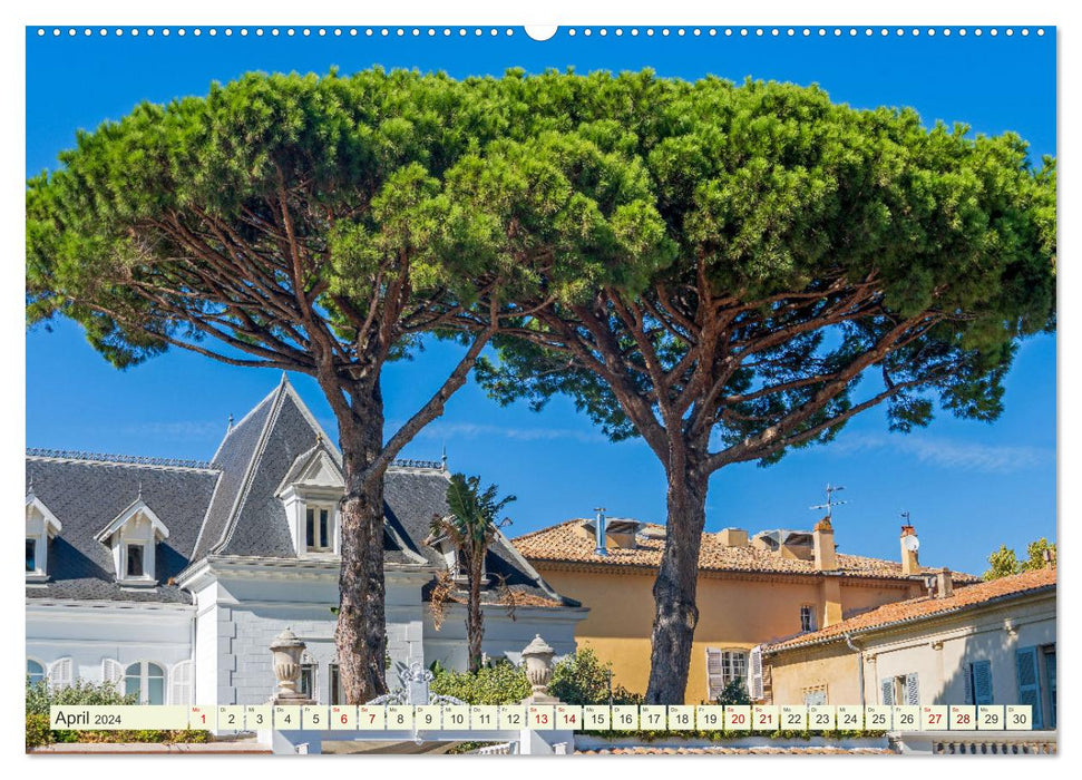 Flore méditerranéenne - Plantes du Sud (Calendrier mural CALVENDO Premium 2024) 