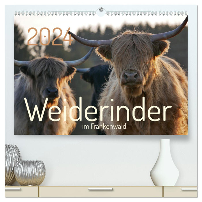 Pasture cattle in the Franconian Forest (CALVENDO Premium Wall Calendar 2024) 