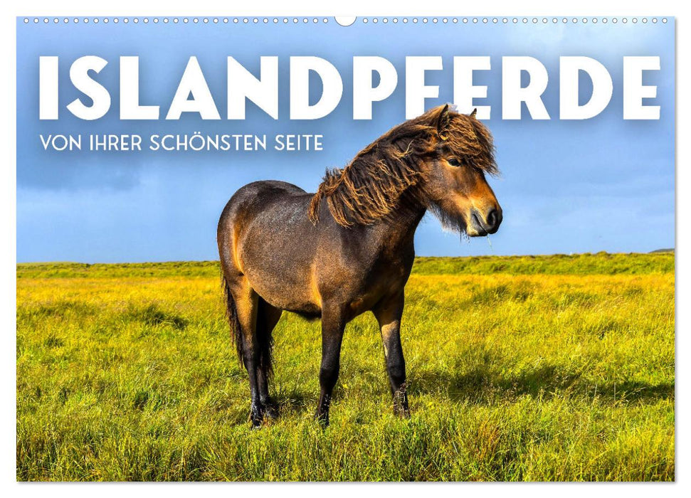 Islandpferde - Von ihrer schönsten Seite (CALVENDO Wandkalender 2024)