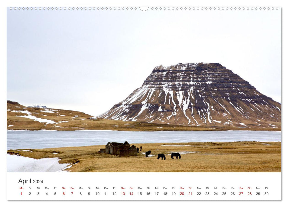 Chevaux islandais - à leur meilleur (calendrier mural CALVENDO 2024) 