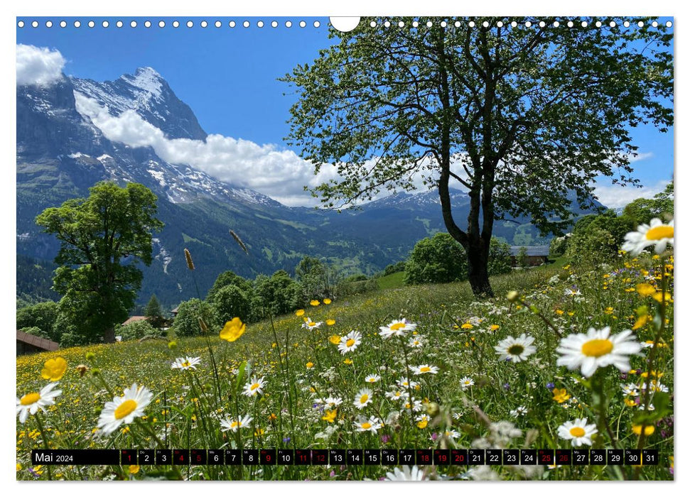 Grindelwald - Jungfrauregion Schweiz (CALVENDO Wandkalender 2024)