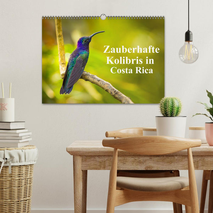 Zauberhafte Kolibris in Costa Rica (CALVENDO Wandkalender 2024)