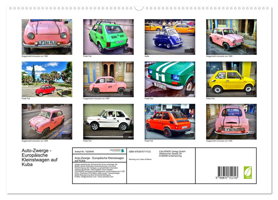 Auto-Zwerge - Europäische Kleinstwagen auf Kuba (CALVENDO Premium Wandkalender 2024)