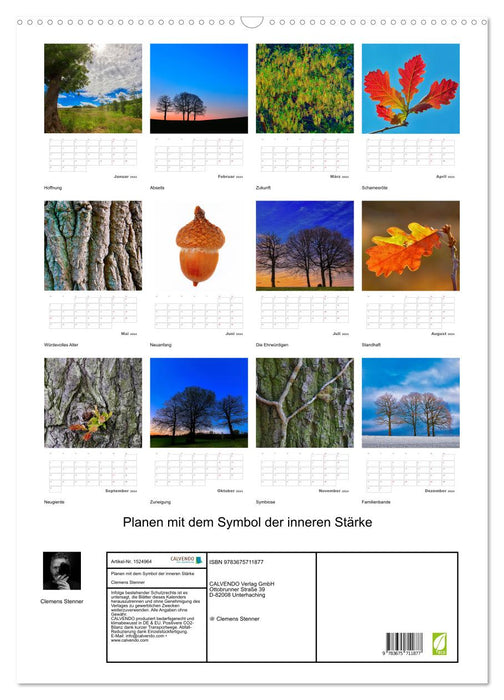 Planen mit dem Symbol der inneren Stärke (CALVENDO Wandkalender 2024)