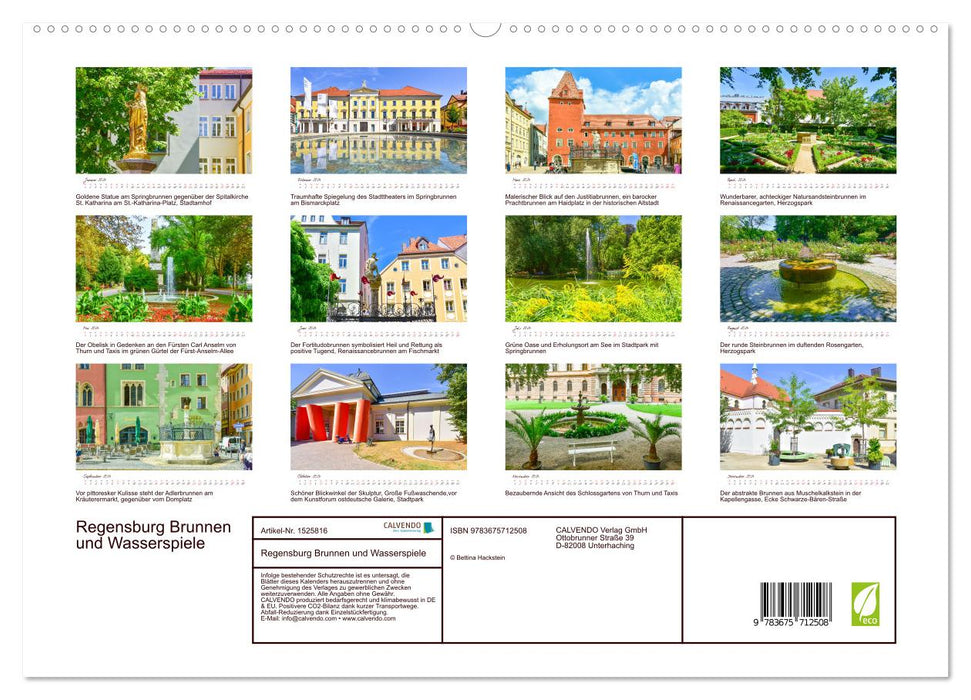 Regensburg Brunnen und Wasserspiele (CALVENDO Premium Wandkalender 2024)