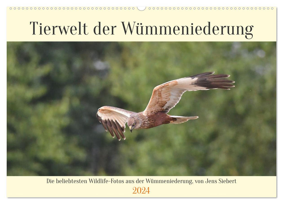 Faune de la Wümmeniederung (Calendrier mural CALVENDO 2024) 