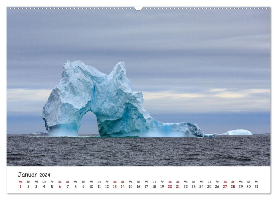Antarktische Halbinsel (CALVENDO Wandkalender 2024)