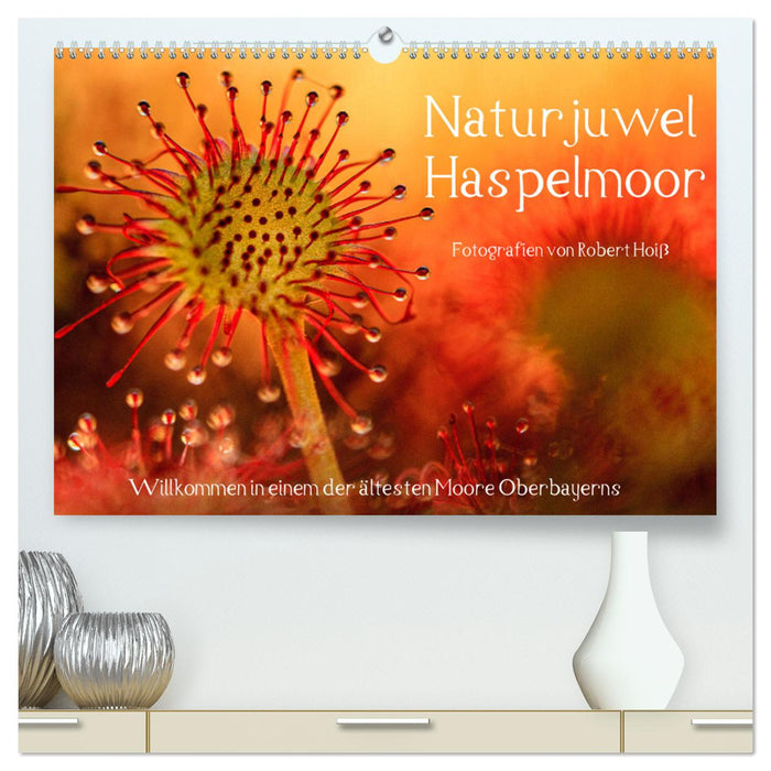 Natural Jewel Haspelmoor (Calvendo Premium Calendrier mural 2024) 