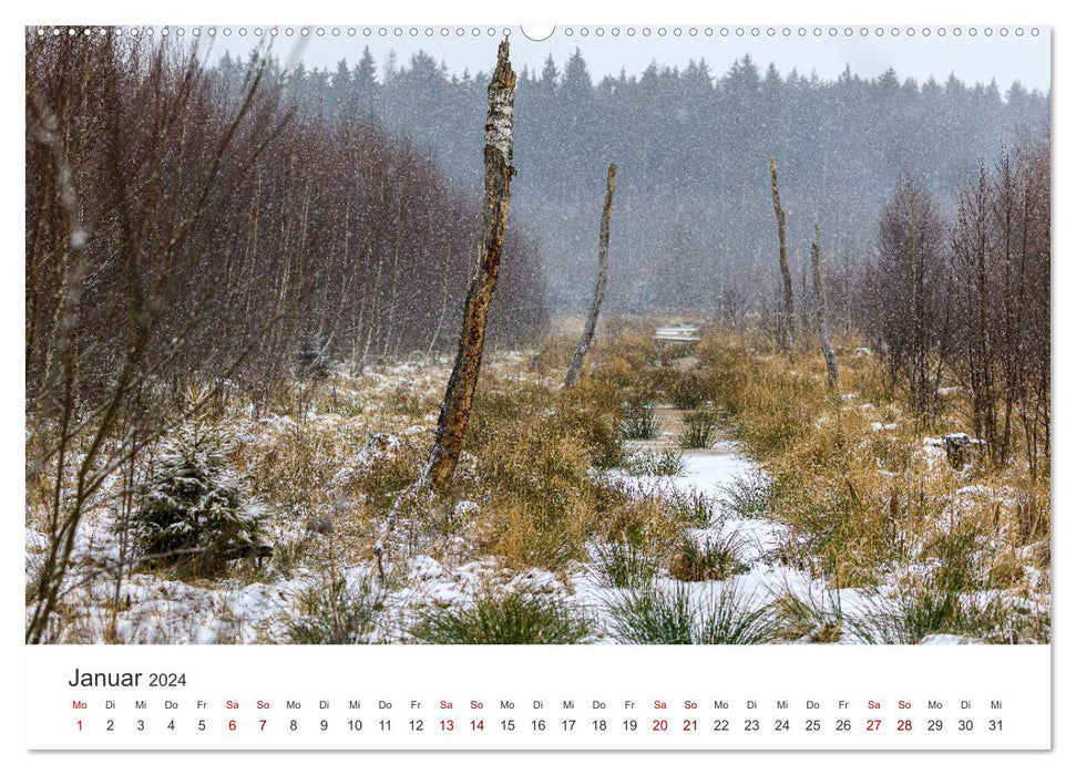 Naturjuwel Haspelmoor (CALVENDO Premium Wandkalender 2024)