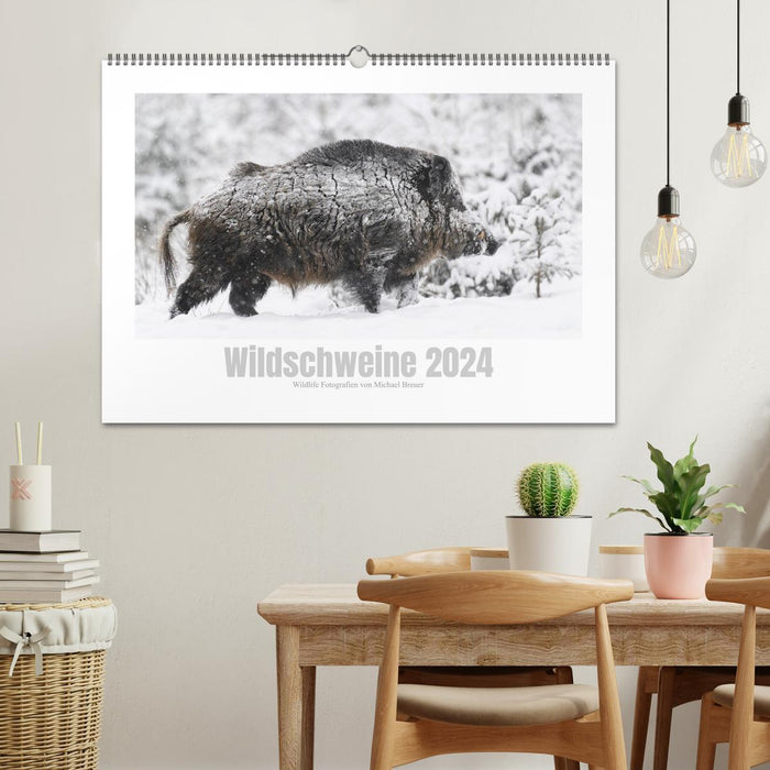 Wildschweine – Wildlife Fotografien (CALVENDO Wandkalender 2024)
