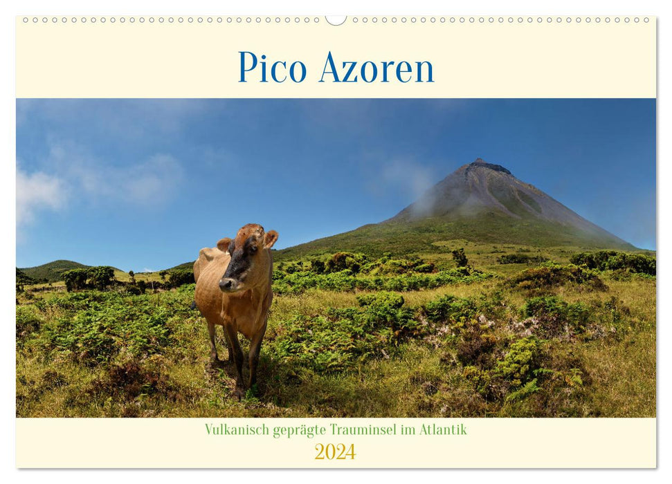 Pico Açores - île de rêve volcanique dans l'Atlantique (calendrier mural CALVENDO 2024) 