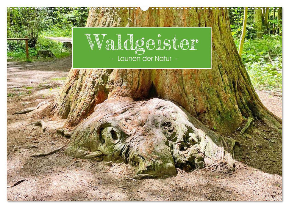 Waldgeister - Launen der Natur (CALVENDO Wandkalender 2024)