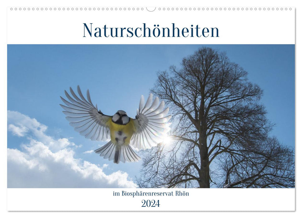 Naturschönheiten im Biosphärerenreservat Rhön (CALVENDO Wandkalender 2024)