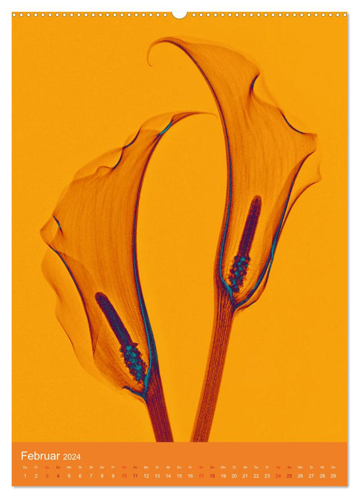 Durchleuchtete Blumenwelt 2024 (CALVENDO Premium Wandkalender 2024)