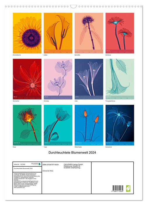 Durchleuchtete Blumenwelt 2024 (CALVENDO Wandkalender 2024)
