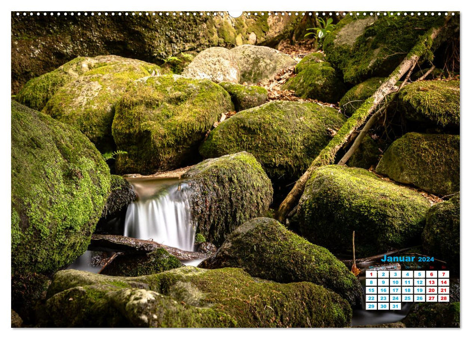 Cascade à Bühlertal (calendrier mural CALVENDO 2024) 