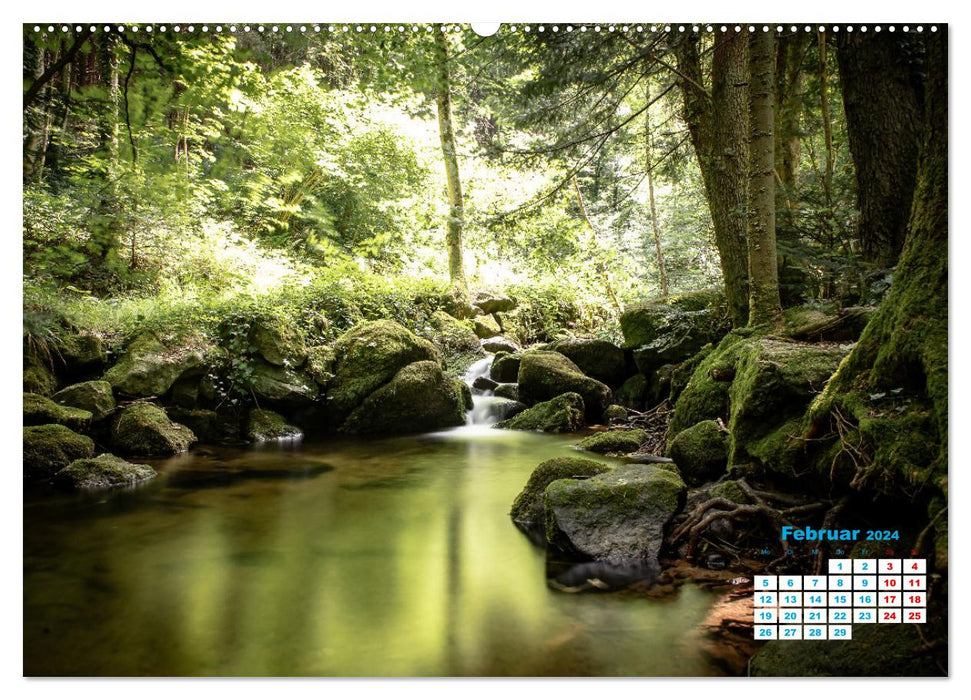 Cascade à Bühlertal (calendrier mural CALVENDO 2024) 