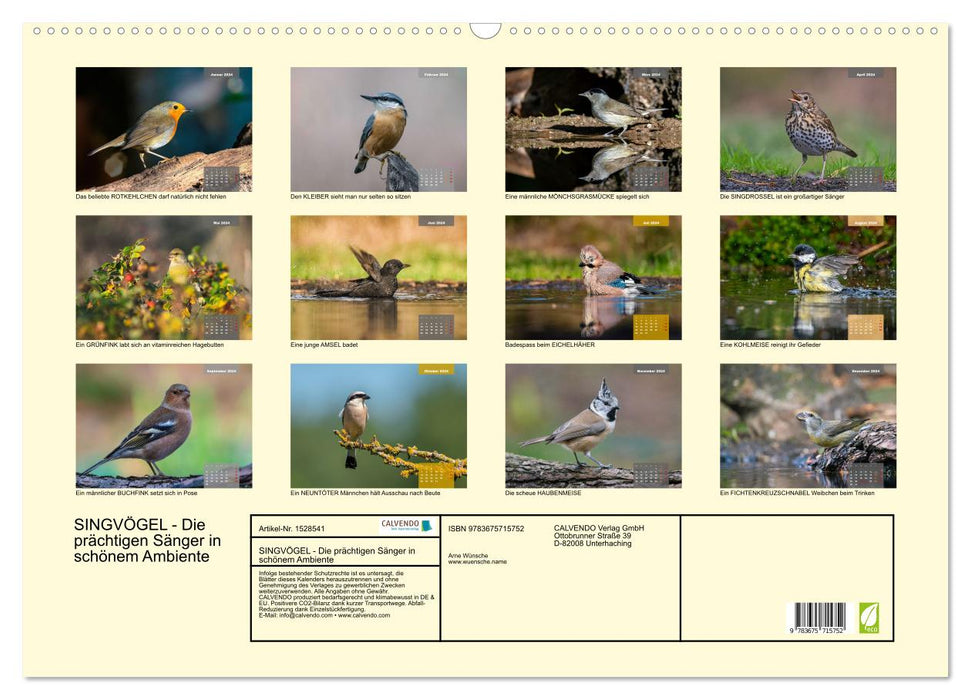 SINGING BIRDS - The magnificent singers in a beautiful ambience. (CALVENDO wall calendar 2024) 