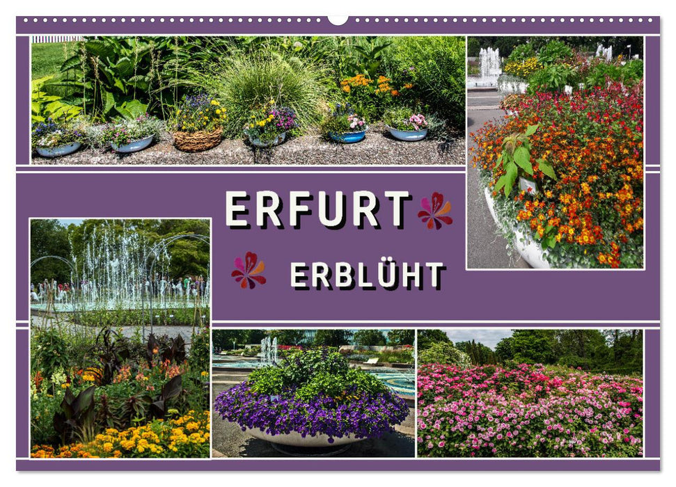 Erfurt blooms (CALVENDO wall calendar 2024) 