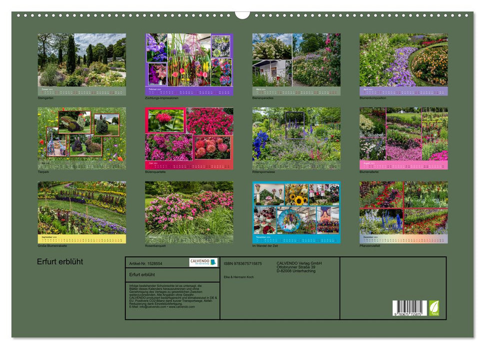 Erfurt blooms (CALVENDO wall calendar 2024) 