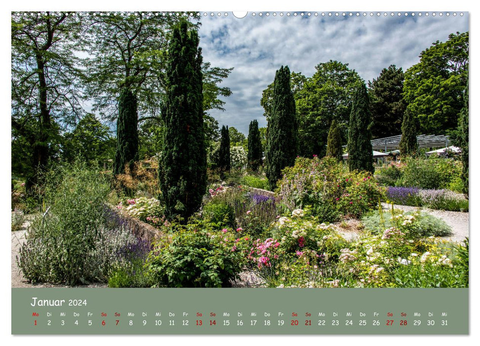 Erfurt erblüht (CALVENDO Wandkalender 2024)