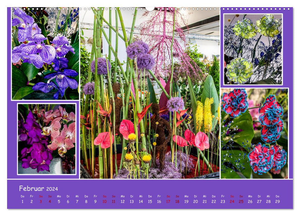 Erfurt blooms (CALVENDO wall calendar 2024) 