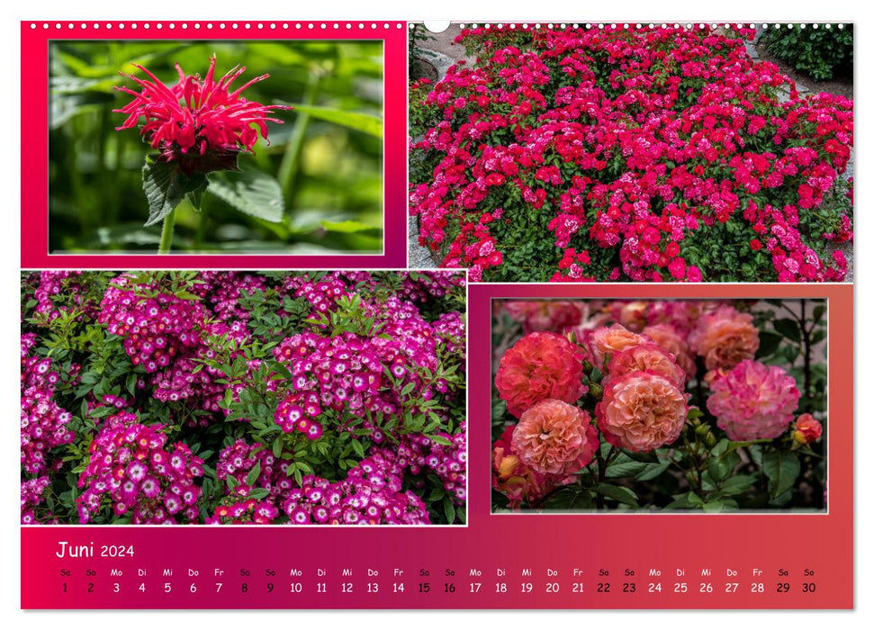 Erfurt blooms (CALVENDO wall calendar 2024) 