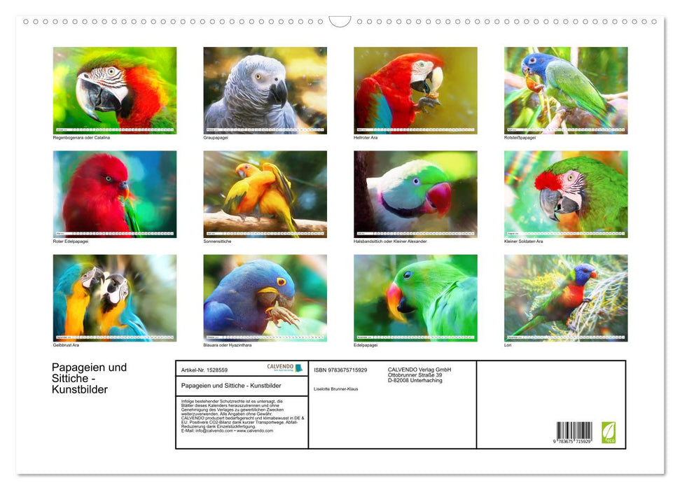 Parrots and parakeets - art pictures (CALVENDO wall calendar 2024) 