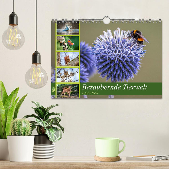 Enchanting wildlife in the wild (CALVENDO wall calendar 2024) 