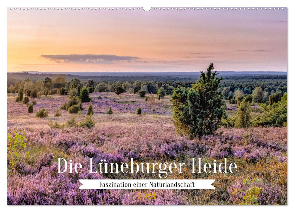 Die Lüneburger Heide - Faszination einer Naturlandschaft (CALVENDO Wandkalender 2024)
