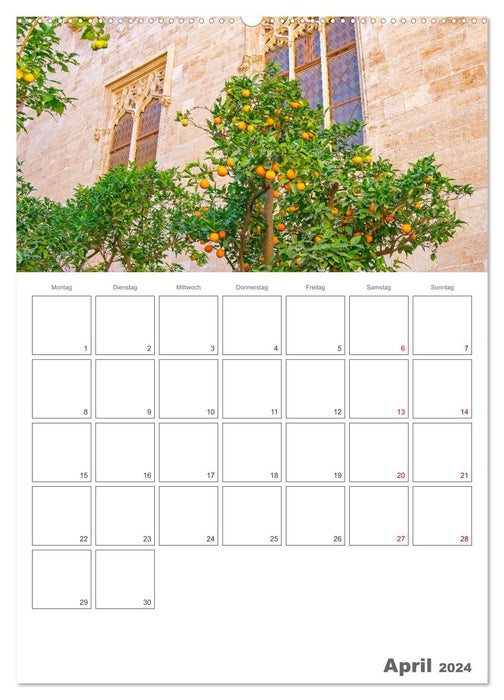 Valence – Planificateur de voyage (Calvendo Premium Calendrier mural 2024) 