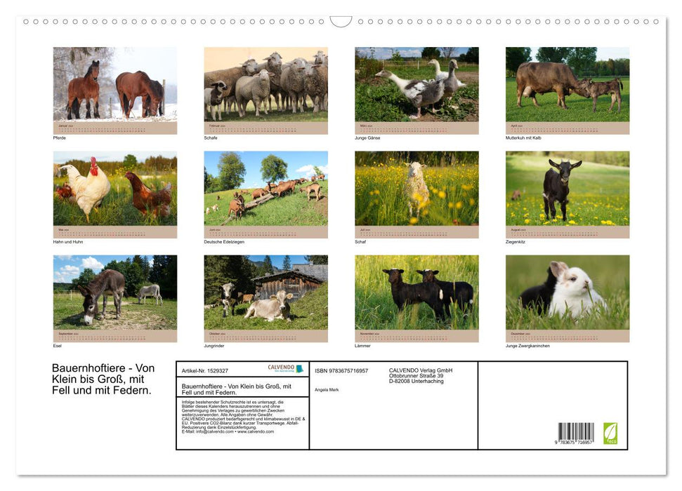 Bauernhoftiere - Von Klein bis Groß, mit Fell und mit Federn. (CALVENDO Wandkalender 2024)