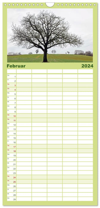Ein Nussbaum von Januar bis Dezember (CALVENDO Familienplaner 2024)