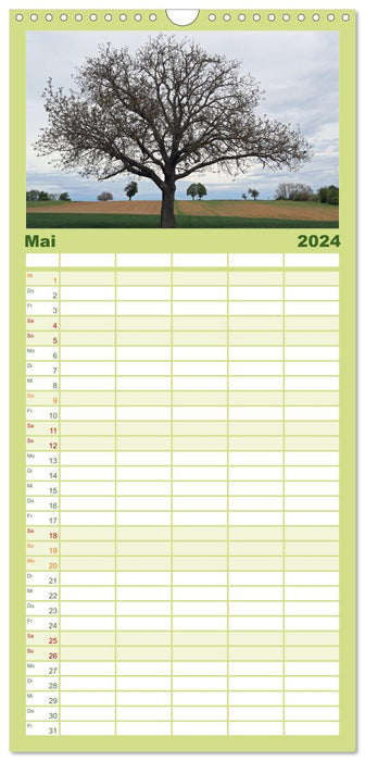 Ein Nussbaum von Januar bis Dezember (CALVENDO Familienplaner 2024)