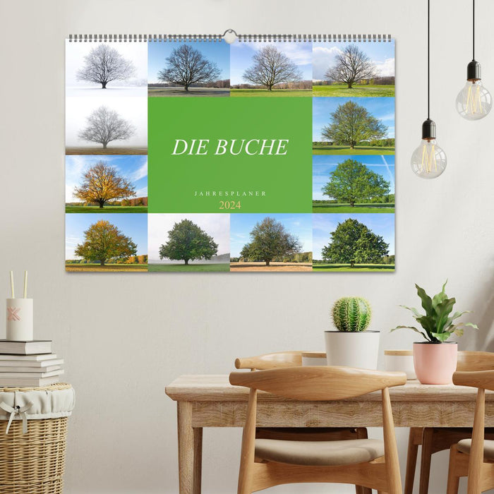 The Beech: Annual Planner 2024 (CALVENDO Wall Calendar 2024) 