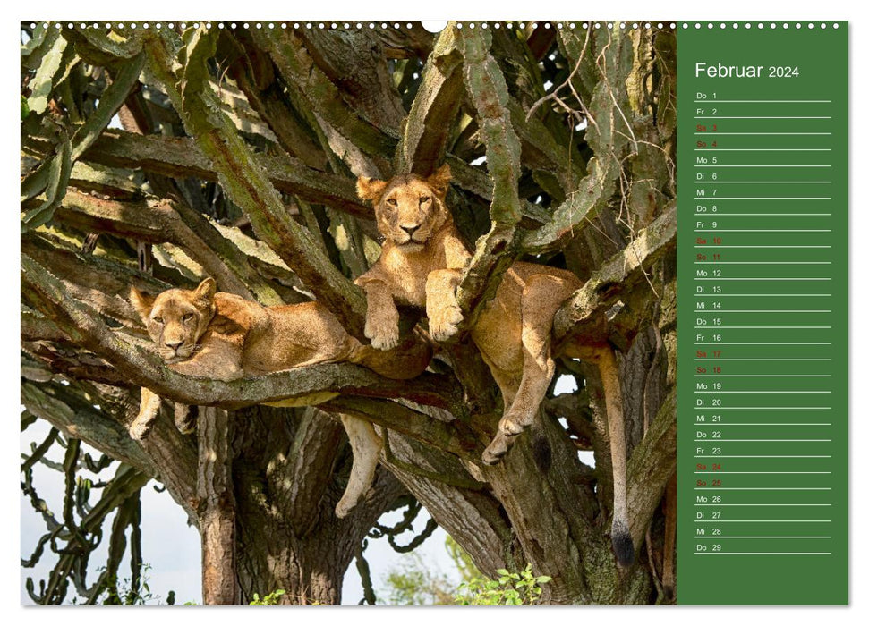 UGANDA - Perle Afrikas (CALVENDO Premium Wandkalender 2024)