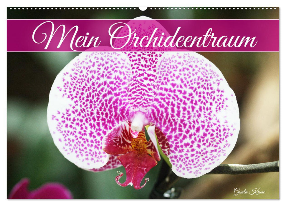 Mein Orchideentraum (CALVENDO Wandkalender 2024)