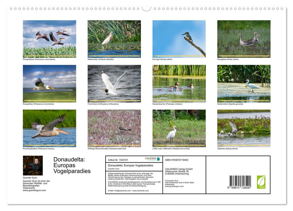 Danube Delta - Europe's great bird paradise (CALVENDO Premium Wall Calendar 2024) 