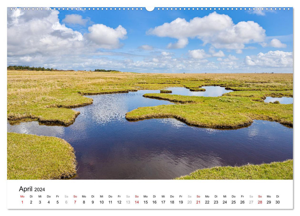 Schleswig-Holstein, a feast for the senses (CALVENDO Premium Wall Calendar 2024) 