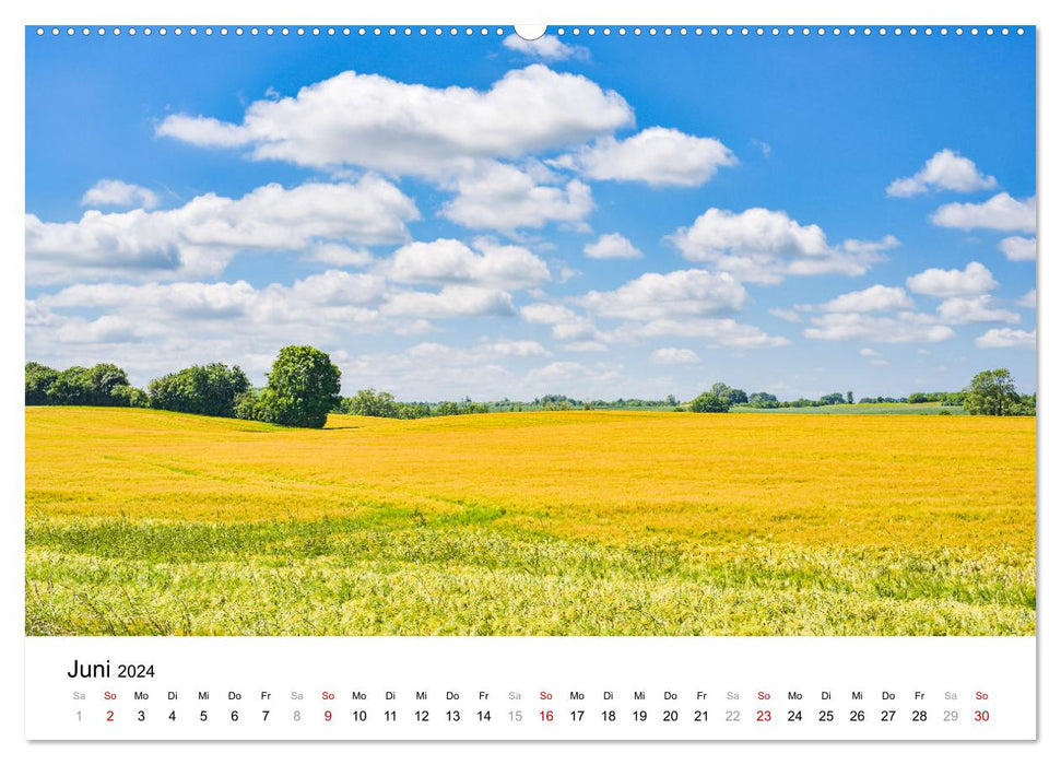 Schleswig-Holstein, a feast for the senses (CALVENDO Premium Wall Calendar 2024) 