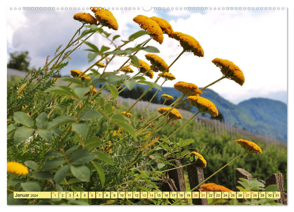 Grüße von der Alm (CALVENDO Premium Wandkalender 2024)