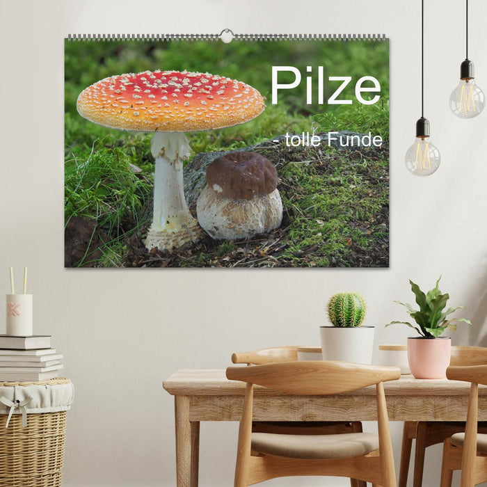 Pilze - tolle Funde (CALVENDO Wandkalender 2024)