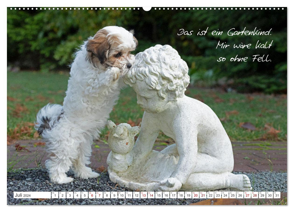 Hallo, ich bin Lilly (CALVENDO Premium Wandkalender 2024)