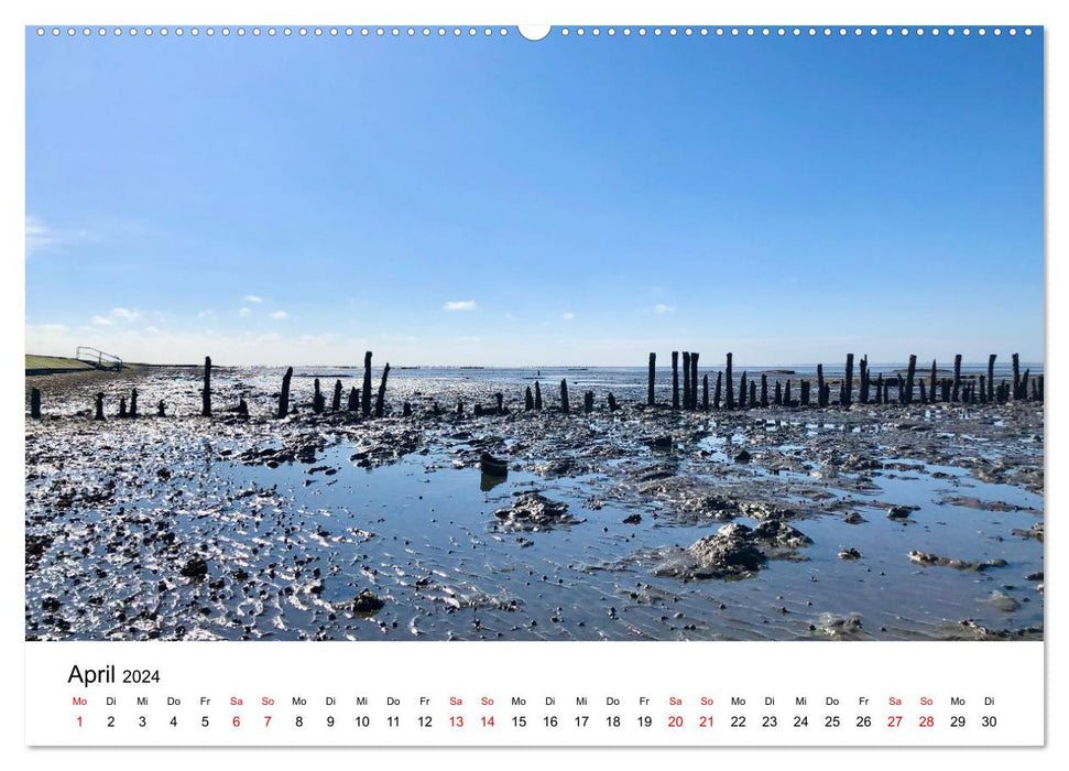 Watt'n Kalender: Nordseeküste (CALVENDO Premium Wandkalender 2024)