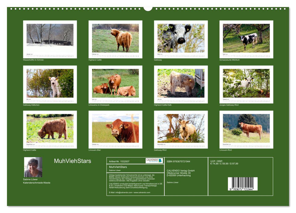 MuhViehStars (CALVENDO Premium Wandkalender 2024)