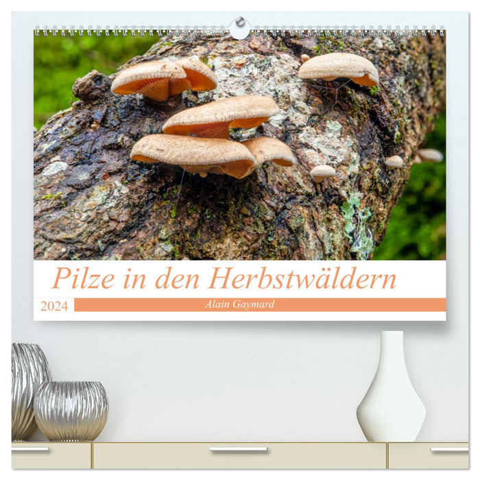 Pilze in den Herbstwäldern (CALVENDO Premium Wandkalender 2024)