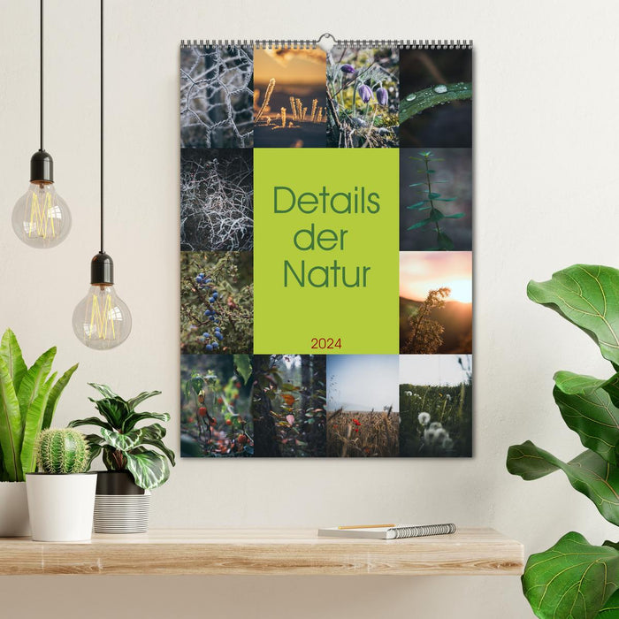 Details of nature (CALVENDO wall calendar 2024) 