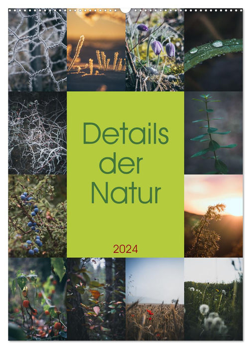 Details der Natur (CALVENDO Wandkalender 2024)